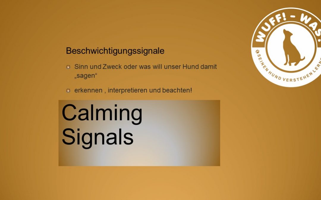 Calming Signals (Beschwichtigungssignale) – erkennen, interpretieren und beachten!