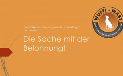 Die Sache mit der Belohnung!
