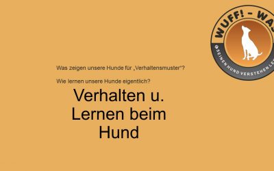 Verhalten und lernen beim Hund!