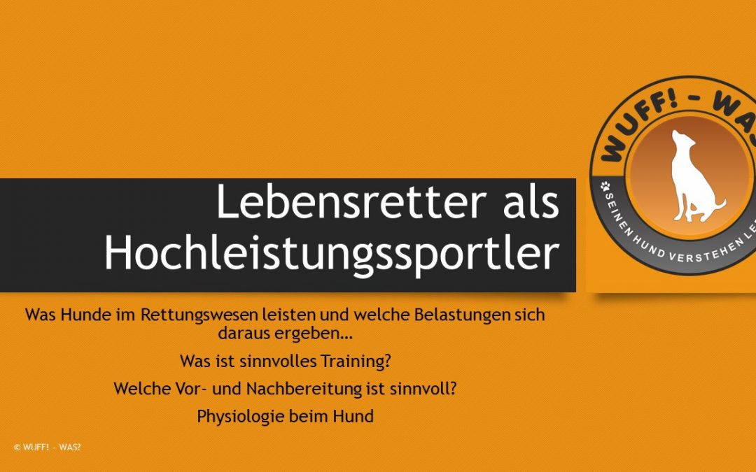 Lebensretter als Hochleistungssportler