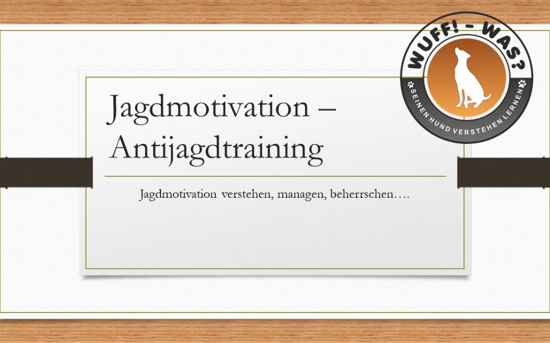 Jagdmotivation und Antijagd-Training