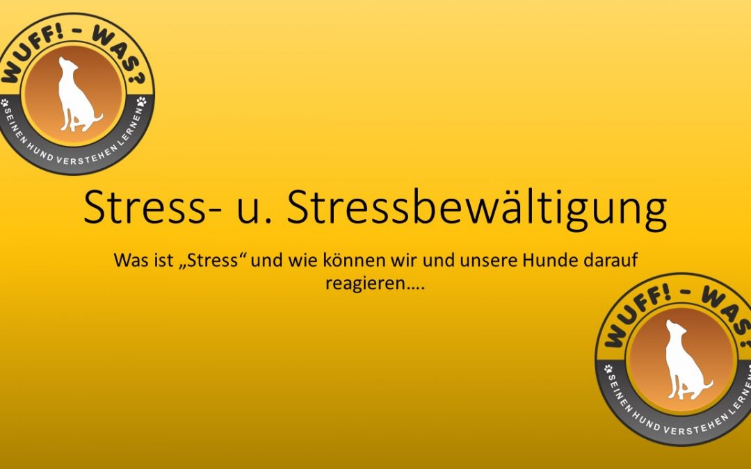 Stress und Stressbewältigung