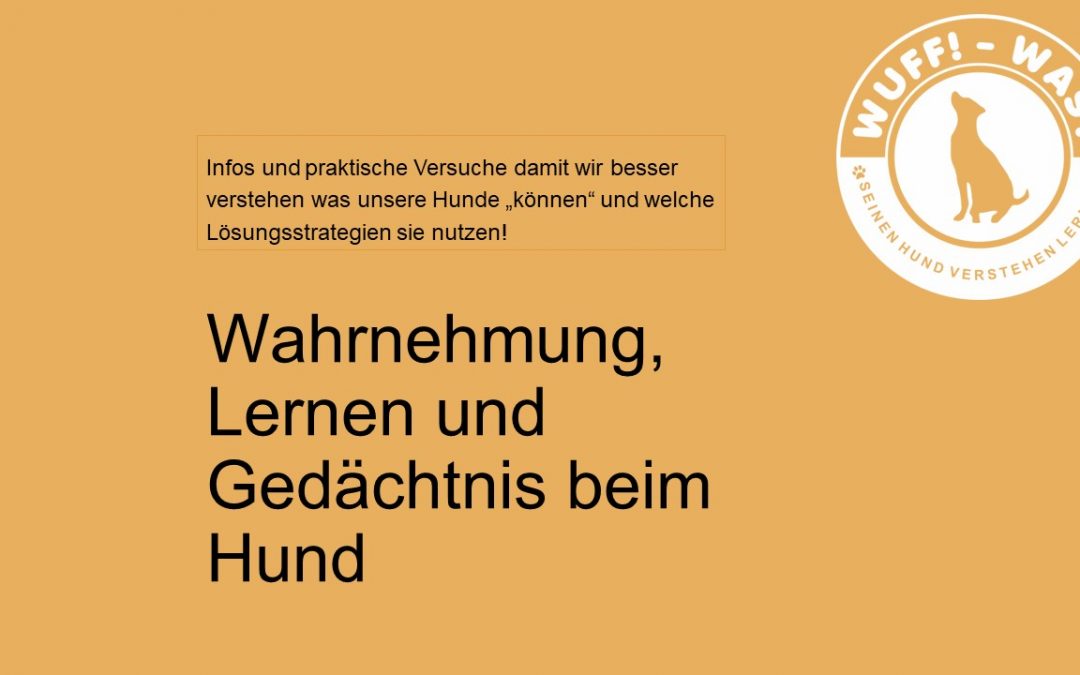 Wahrnehmung, Lernen und Gedächtnis beim Hund